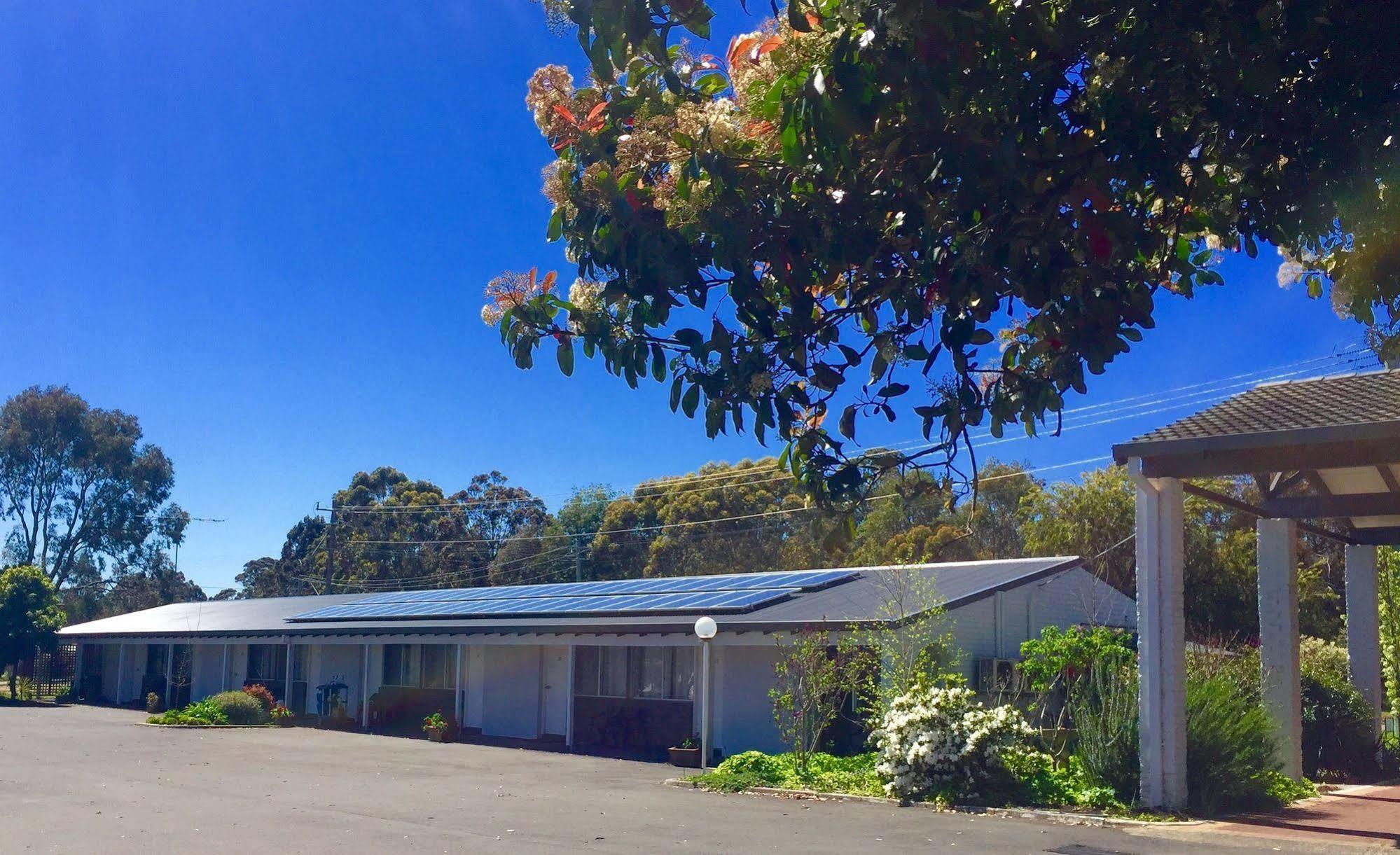 Manjimup Kingsley Motel Exterior photo